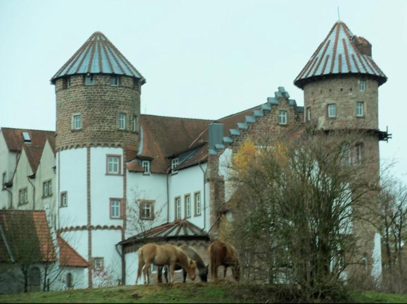 Luxus Appartement Im Schloss Fockelberg Exterior foto